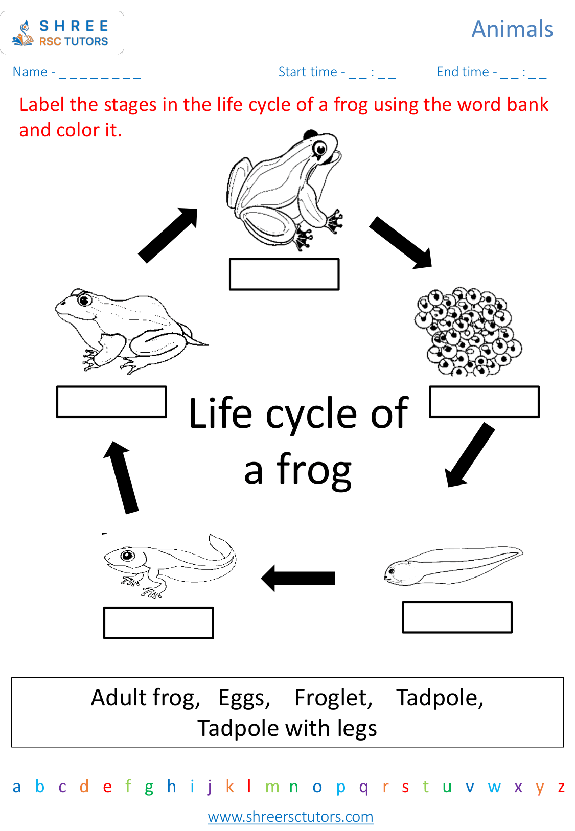 Animal life cycle worksheets for Grade 2 Science shree rsc tutors